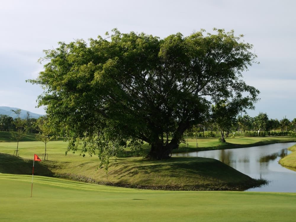 노쓰힐 치앙마이 골프 7