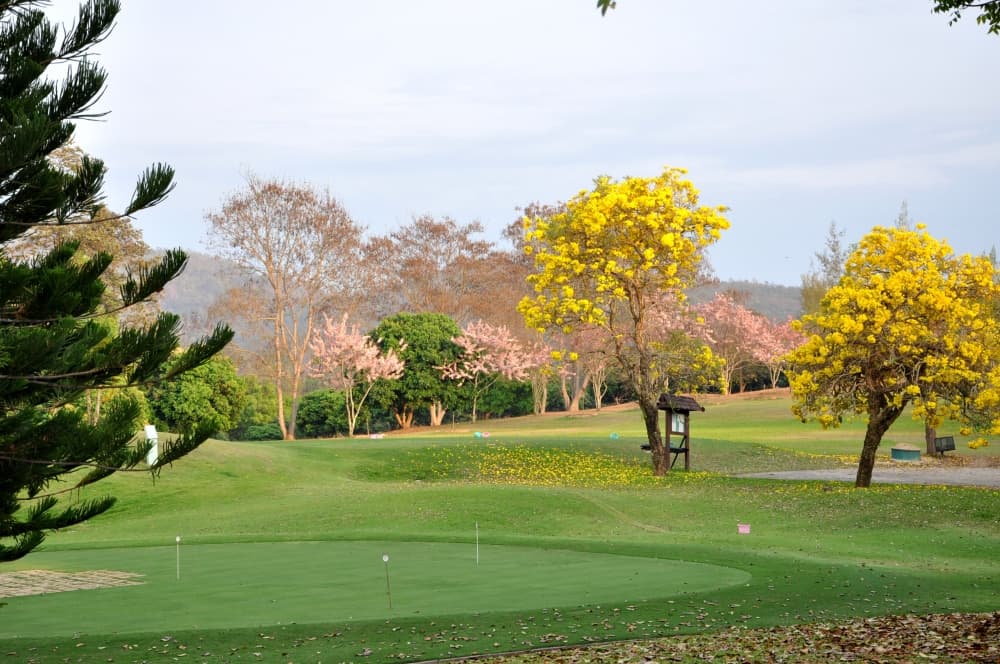 더 로얄 치앙마이 골프 리조트  6