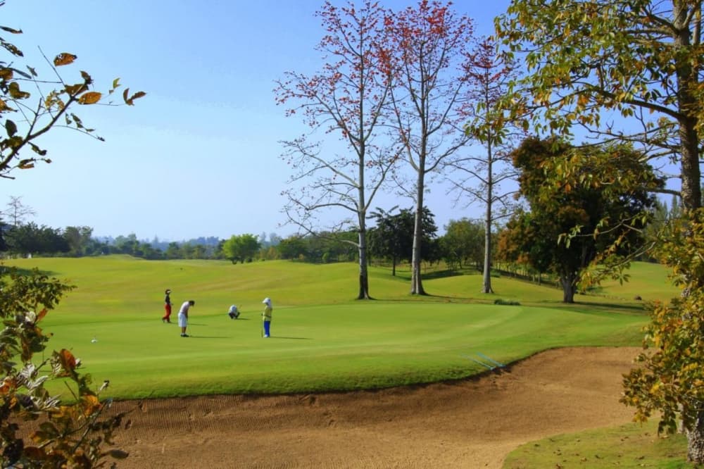 매조 골프 클럽 5