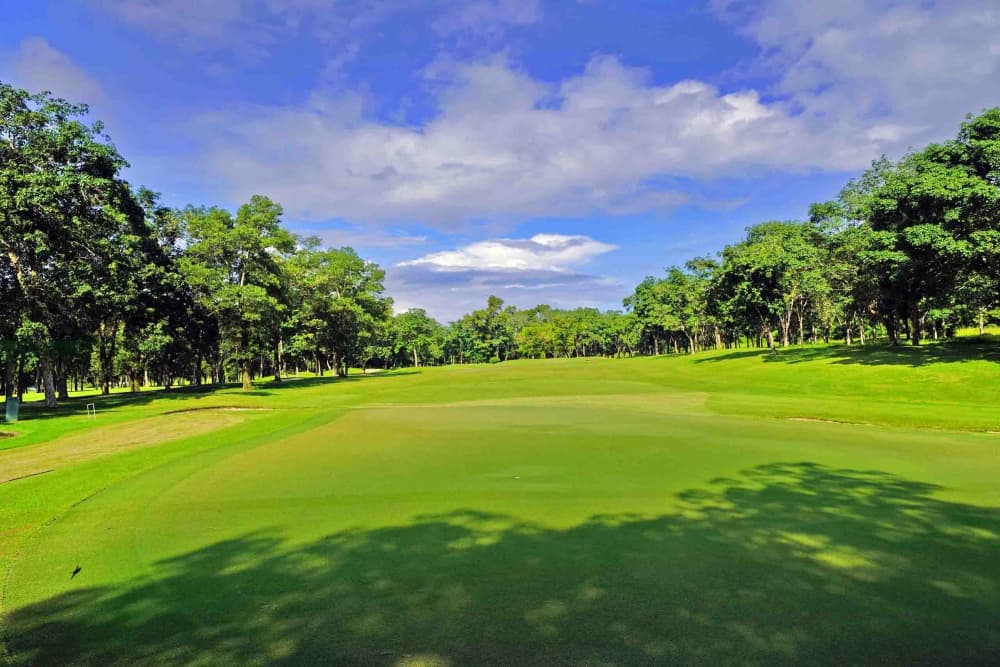 블루캐년 컨트리클럽 6