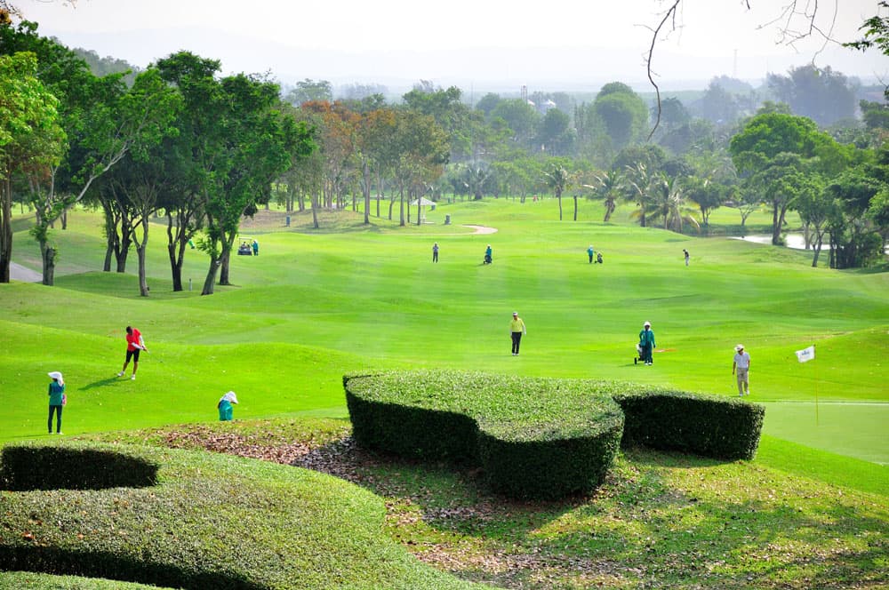 그린우드 골프 클럽 8