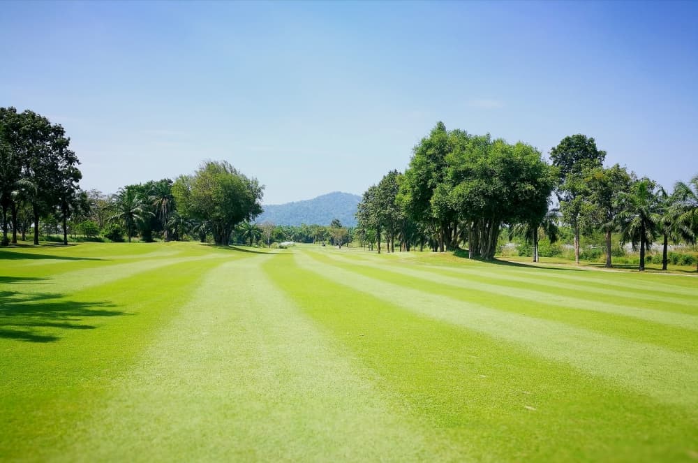 파타비아 센츄리 골프 클럽  2
