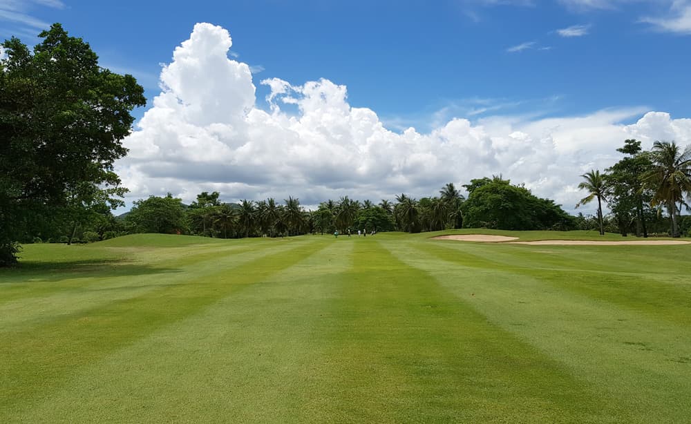 세인트앤드류 2000 골프 클럽 5