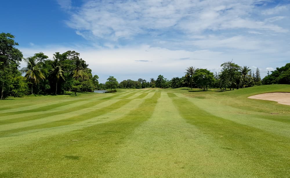 세인트앤드류 2000 골프 클럽 12