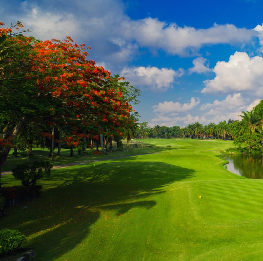 수파프륵 골프 클럽 6