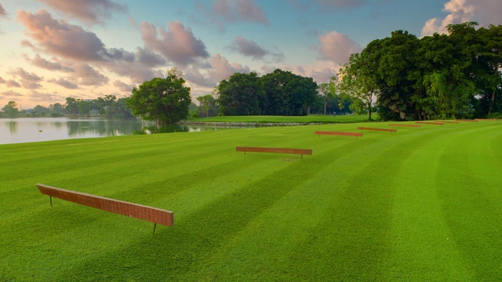 수파프륵 골프 클럽 12