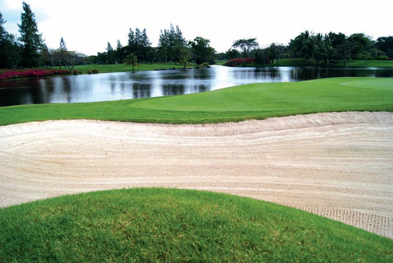 더 빈티지 클럽 2