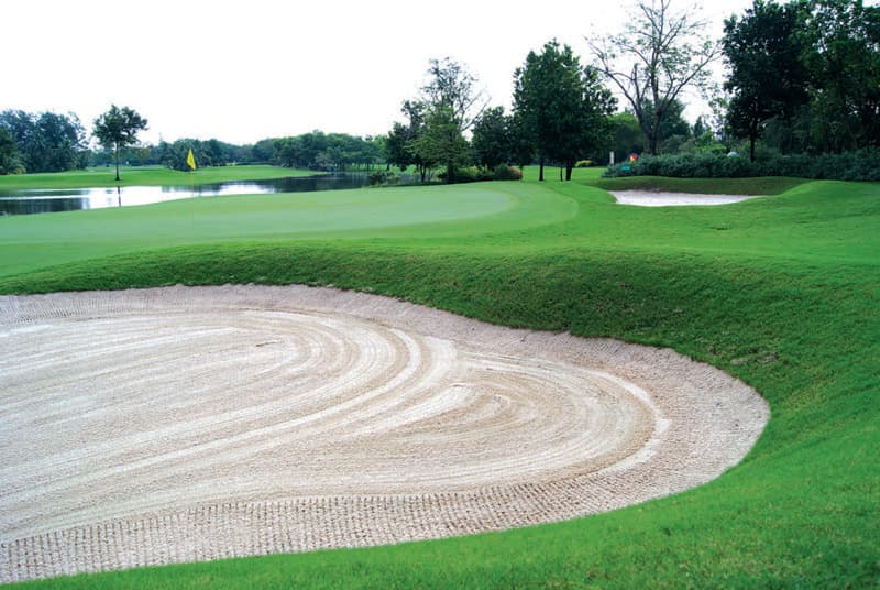 더 빈티지 클럽 4