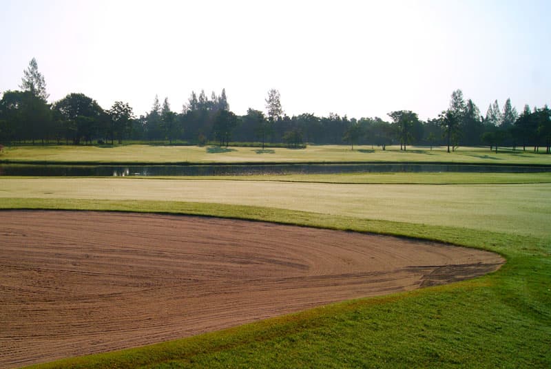 더 빈티지 클럽 6