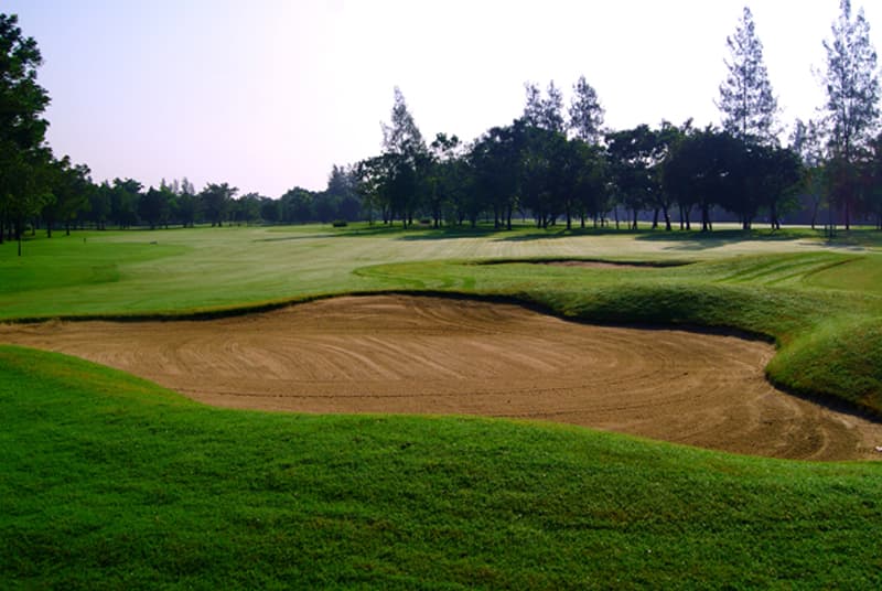 더 빈티지 클럽 10