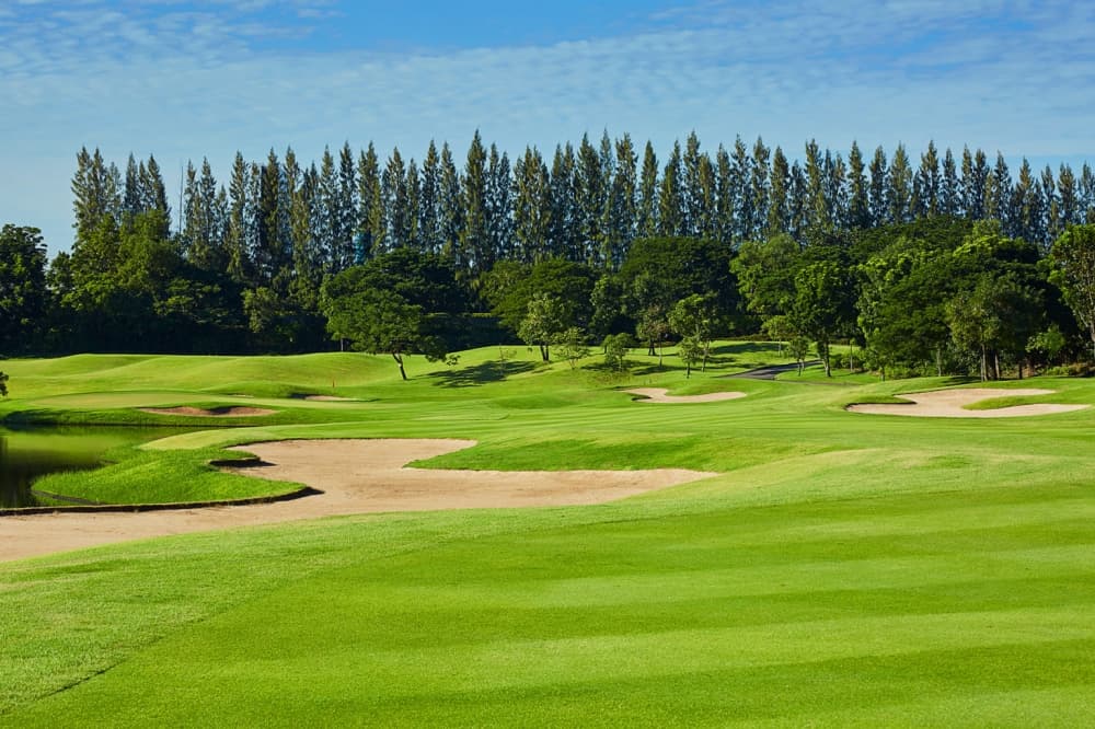 리버데일 골프 클럽 8