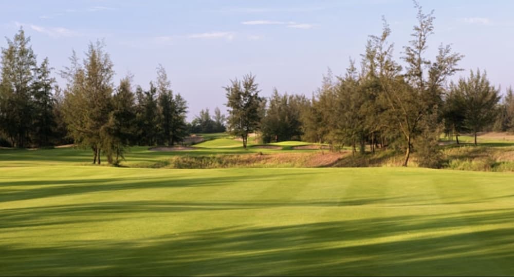 몽고메리 링크스 골프 클럽 8