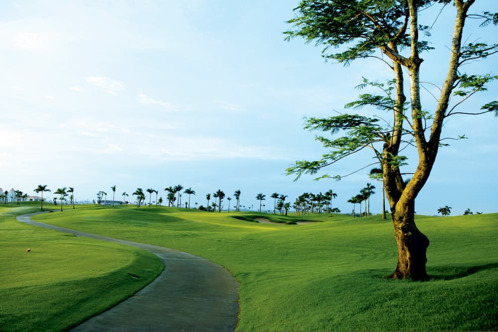 태광 정산 컨트리 클럽 12