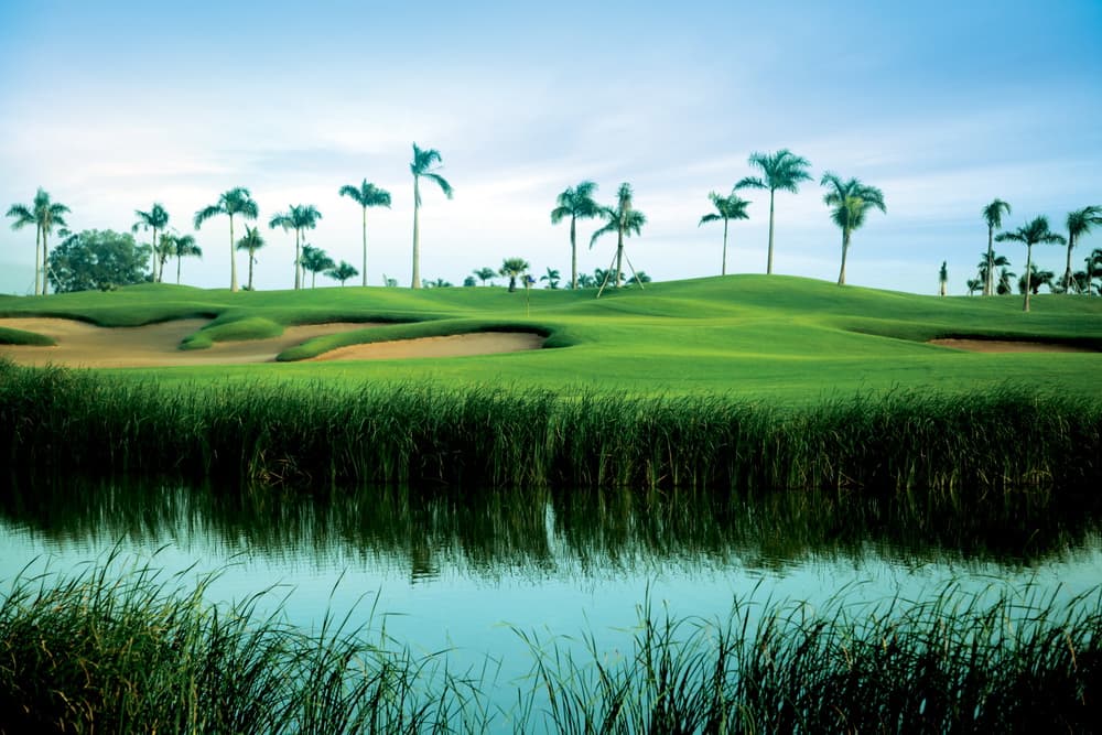 태광 정산 컨트리 클럽 15