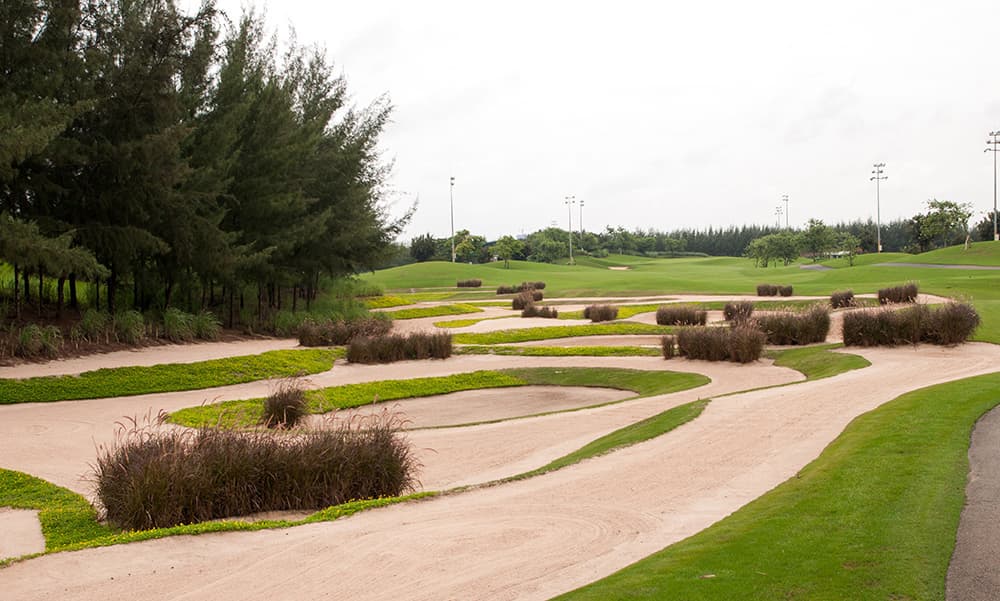 트윈 도브스 골프 클럽 13