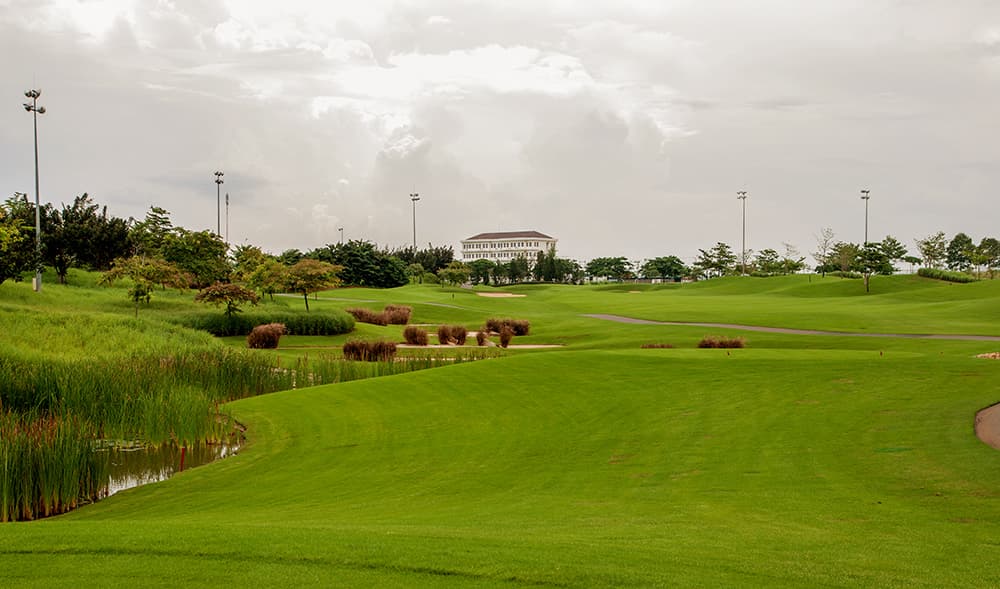트윈 도브스 골프 클럽 14