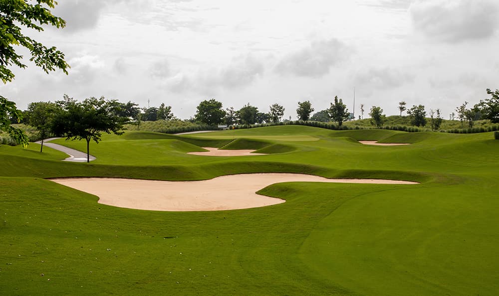 트윈 도브스 골프 클럽 15