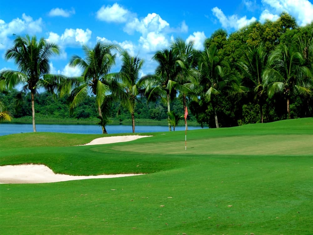 동나이 골프 클럽 6