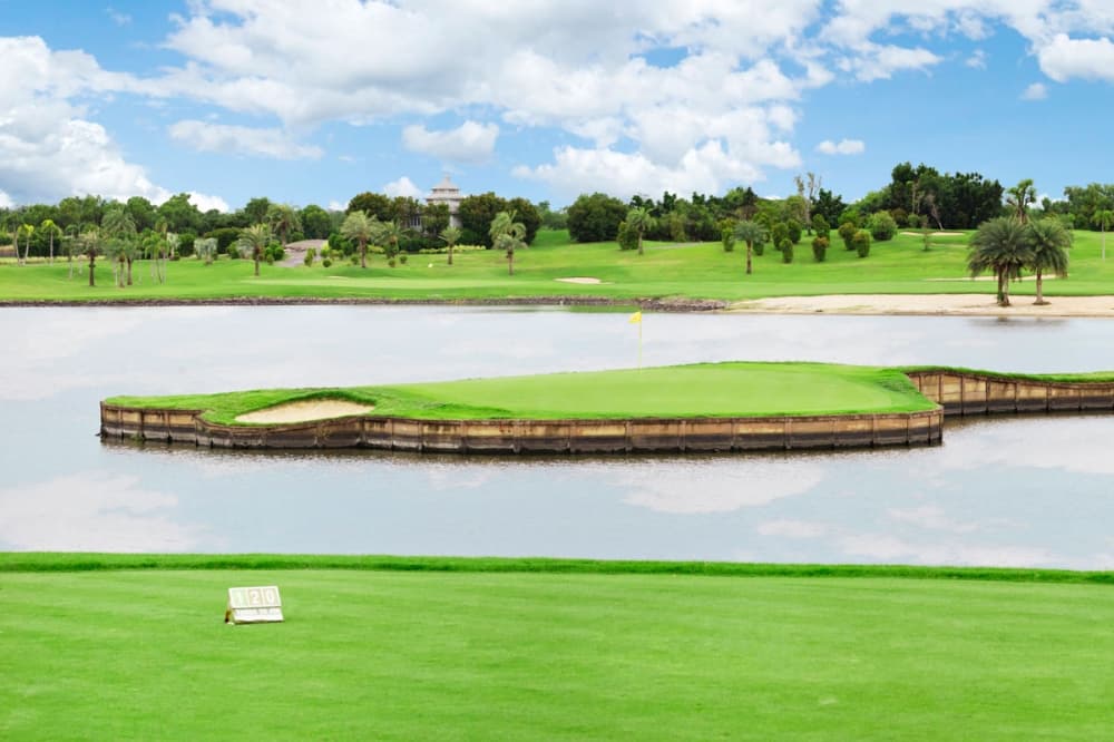 더 R.G 시티 골프 클럽 5