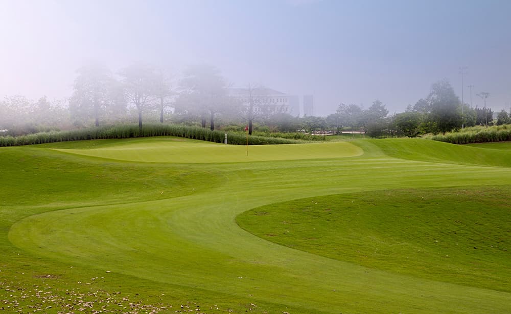 트윈 도브스 골프 클럽 1