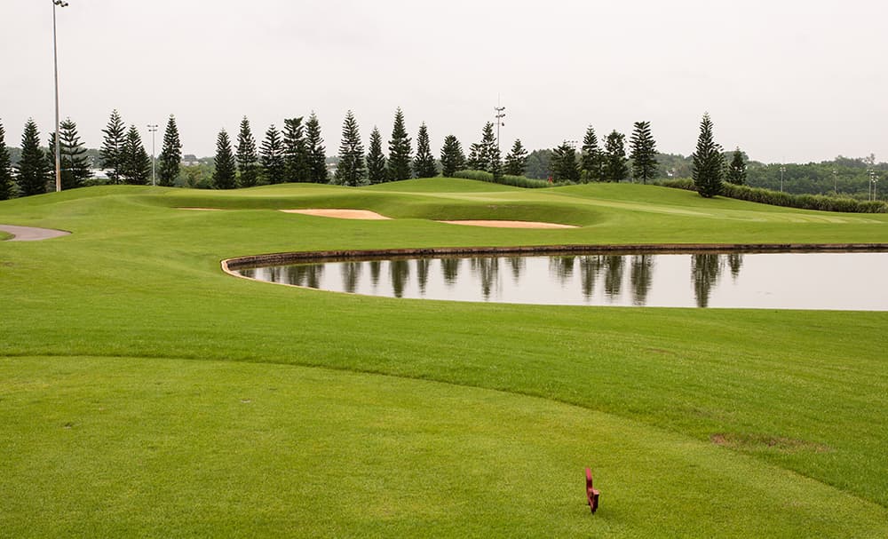 트윈 도브스 골프 클럽 9