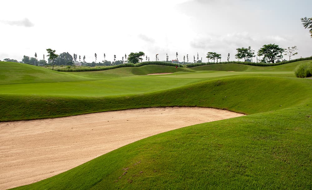 트윈 도브스 골프 클럽 7