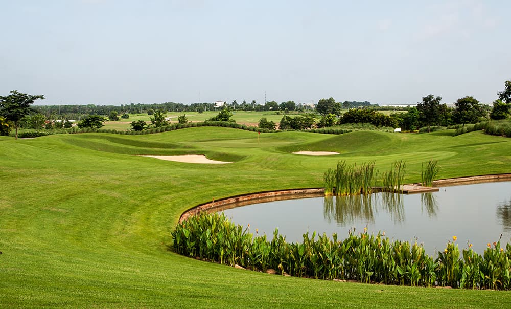 트윈 도브스 골프 클럽 6