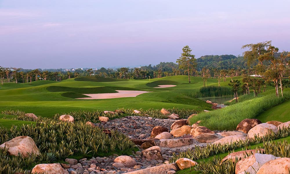 트윈 도브스 골프 클럽 5