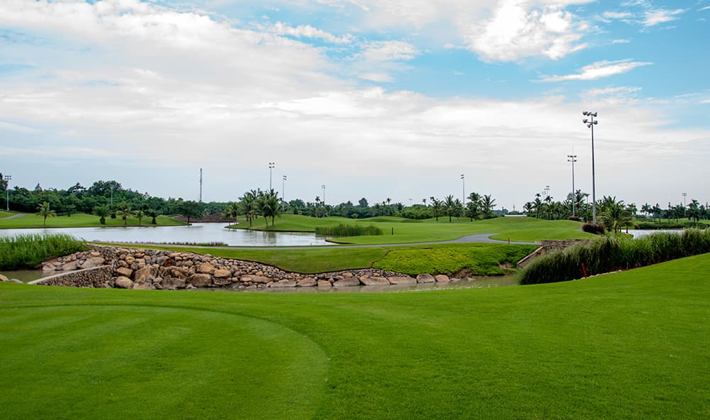 트윈 도브스 골프 클럽 4