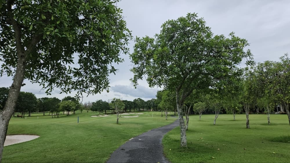 란초찬위 컨트리 클럽 15