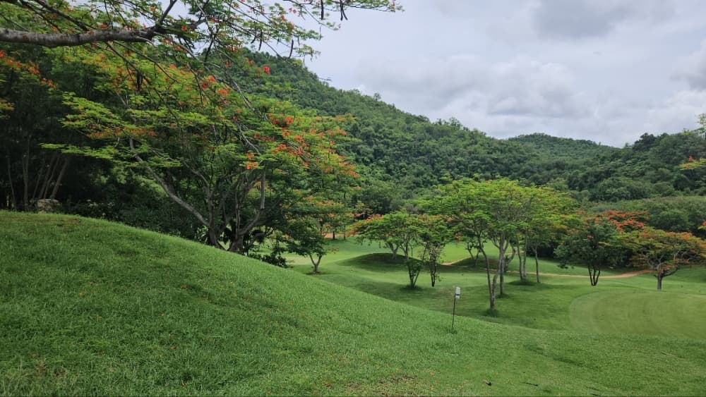 카오 야이 골프 클럽 12