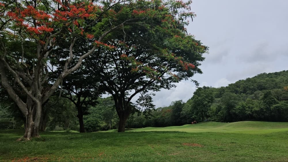 카오 야이 골프 클럽 14