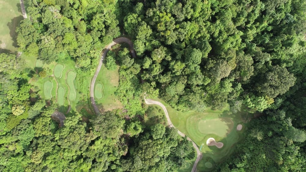  티니디 리조트 골프팩 19