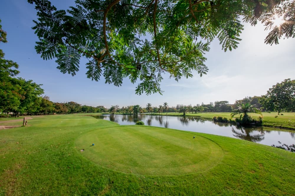 윈저 파크 앤 골프 클럽 5