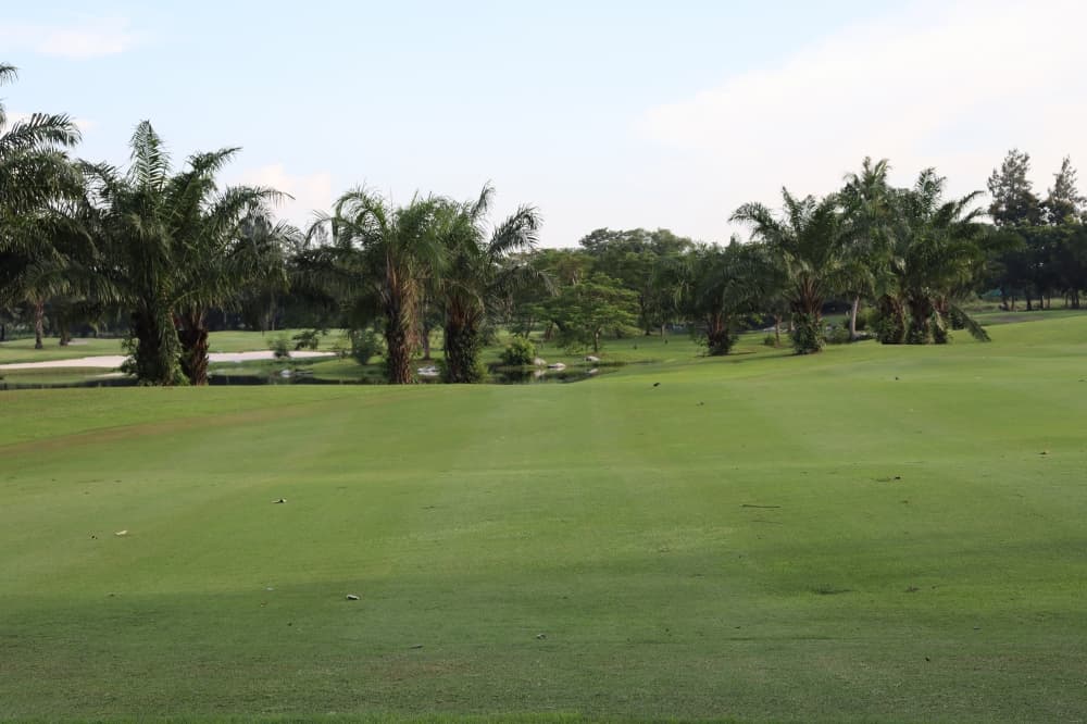 윈저 파크 앤 골프 클럽 7