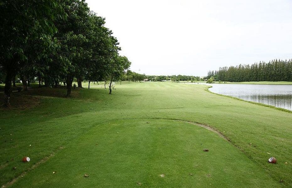 더 파인 골프 클럽 4