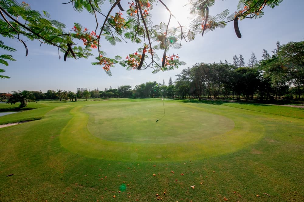 윈저 파크 앤 골프 클럽 13