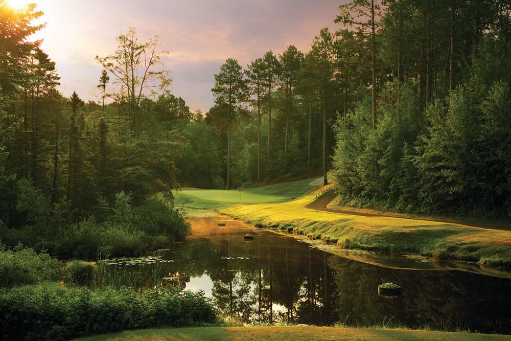 더 파인 골프 클럽 7