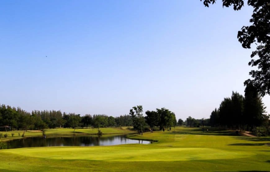 더 파인 골프 클럽 11