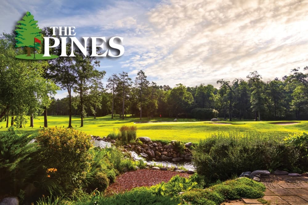 더 파인 골프 클럽 14